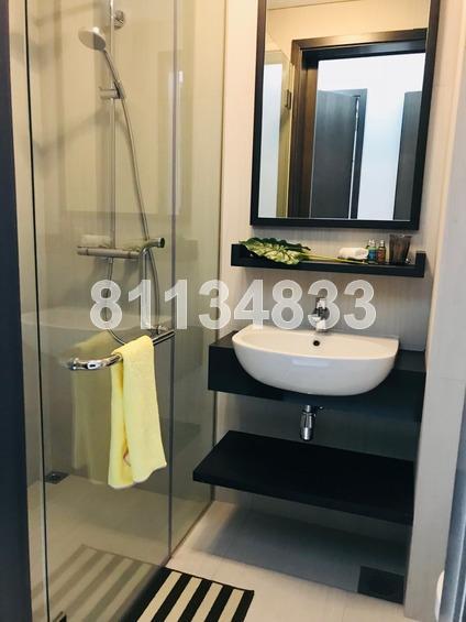 The Rise @ Oxley - Residences (D9), Apartment #163724832
